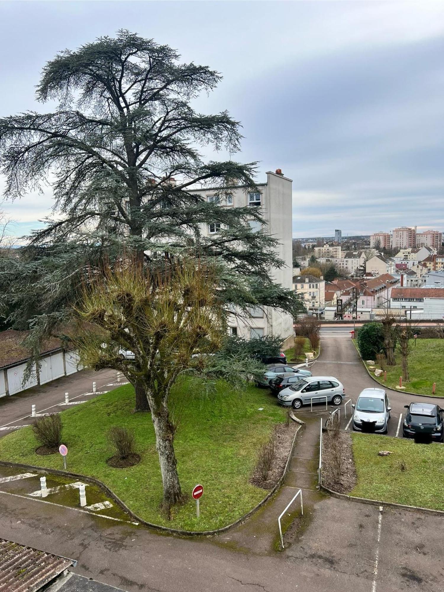 דירות דיז'ון Le Bellevue - T3 - Gare & Les Jardins Darcy - Parking Free מראה חיצוני תמונה